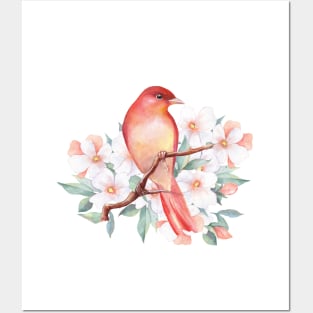 Red bird on branch Posters and Art